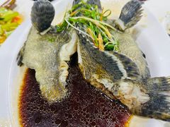 清蒸石斑鱼-岛中岛·海鲜大排档·万宁老字号(东澳店)