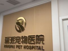 -瑞派康怡24h宠物医院·犬猫医疗中心·微创绝育(瑞景分院)