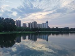 -莲花池公园