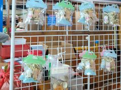-蓝湾碧波·老字号·疍家非遗海上餐厅