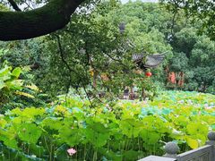 -丝绸小镇荻港古村