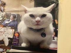 -牛玄庵日式寿喜烧·料理店(新源里店)