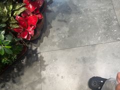 -倍儿美海鲜大排挡·非遗海鲜蒸饺(洋货店)