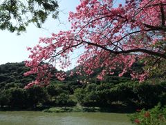 景点-风云岭森林公园