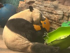 -石家庄市动物园