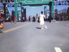 -荷兰花海
