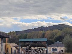 -哈尔滨北方森林动物园