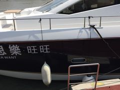 -北外滩百艇汇游艇俱乐部