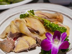 -沿江海南菜·文昌鸡祖师爷(大东海店)