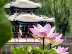-陶然亭公园