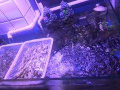 -路边摊小炉子烧烤