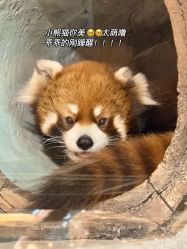 -Zoolung Zoolung动物主题公园(海信广场店)