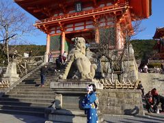 -有栖山 清光院 清水寺