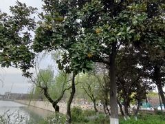 -阅江楼风景区