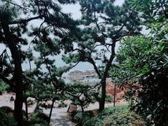 -青岛海底世界-水族馆
