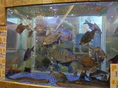 -新兴家喻酒家·羊城名宴(昌岗店)