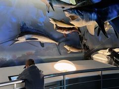 -陕西自然博物馆