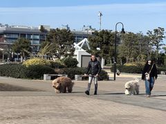 -横滨红砖仓库1号馆