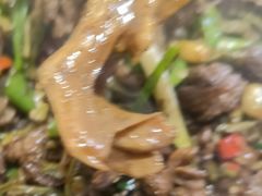-江边湾柴火鸭