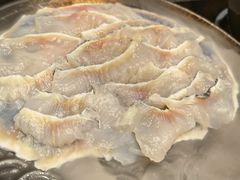 鲜嫩斑鱼片-新草堂锅物料理(泉城路店)