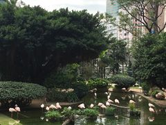 -九龙公园