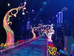 -广西壮族自治区药用植物园