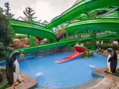 -东天目山风景区