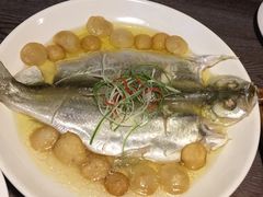 -青叶202都市餐厅(迪诺水镇店)