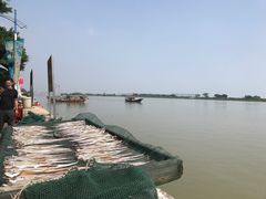 -南沙十九涌渔人码头-南门