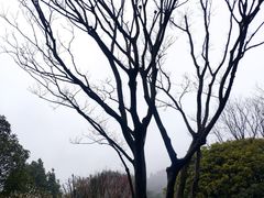 -天台山景区