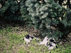 -张学良旧居陈列馆