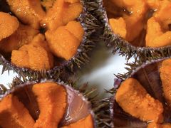 -海胆小馆(东北水饺·春柳店)