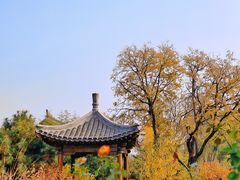 -三里河公园