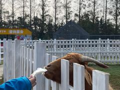 -前小桔亲子创意农场·草莓采摘·露营烧烤