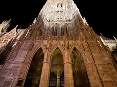 -斯蒂芬主教座堂(Stephansdom)