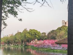 -圩墩遗址公园