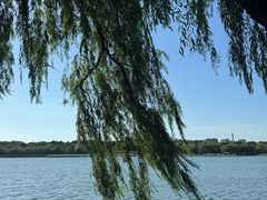 -长春市南湖公园