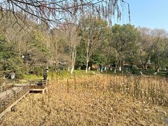 -八卦田遗址公园