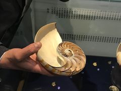 -青岛贝壳博物馆