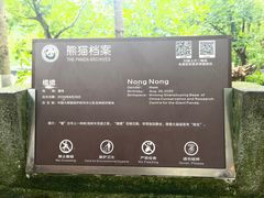 -都江堰中华大熊猫苑