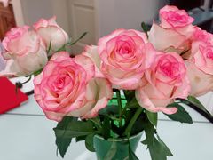 -双季花艺园艺市场(浦东店)