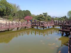 -北京西山国家森林公园