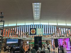 -巴塞罗那约瑟·塔拉德利亚斯-埃尔·普拉特机场