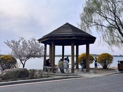 -丁香湖公园