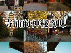 -灵谷景区