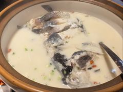 -全乐鱼馆·淳牌有机鱼直营店