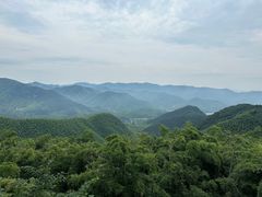 -莫干山风景区