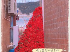 -常熟路(地铁站)