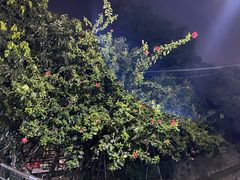 -荔景渔庄