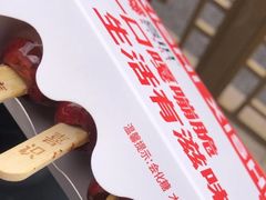 -喜识·冰糖葫芦·炒酸奶(保定钟楼店)